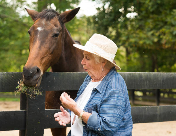 istock Senior woman nervously feeds a horse 867994450