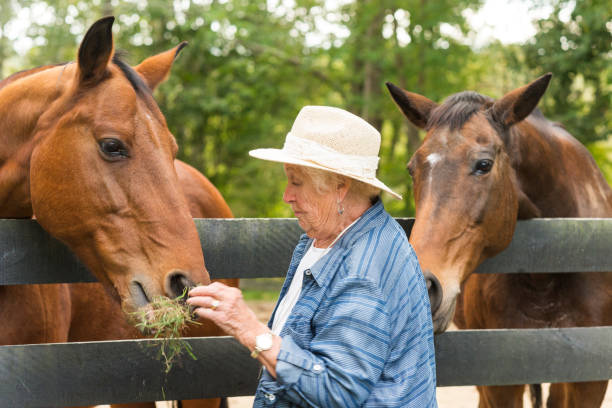 istock Senior woman nervously feeds a horse 867994452