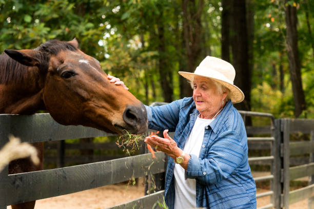 Senior woman nervously feeds a horse