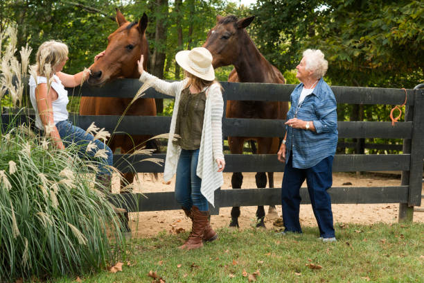istock Three generation females interacting with horses 867994480