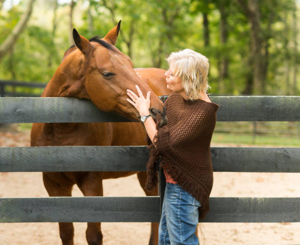 istock Blond woman touches thoroughbred horse 867994520