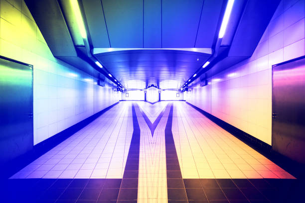 istock Underground passage through the road, mirror two exits, select the road concept. 868001170