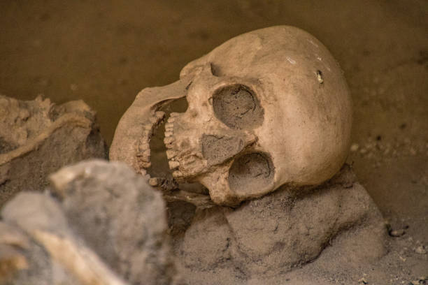 istock Skulls and bones found entombed in lava 868001356