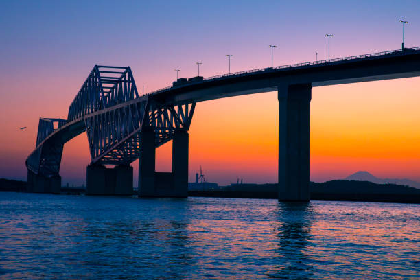 istock Tokyo Gate Bridge, Mt. Fuji and airplane in twilight 868005222