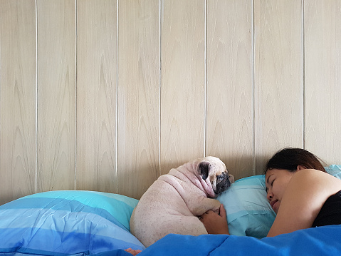 Asian Woman and her cute puppy pug dog sleep in bed