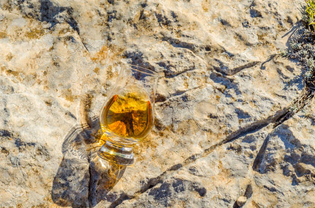 único whisky de malte em vidro na pedra, bebo em uma pedra natural - scotch on the rock - fotografias e filmes do acervo