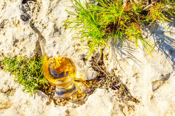 único whisky de malte em vidro na pedra, bebo em uma pedra natural - scotch on the rock - fotografias e filmes do acervo