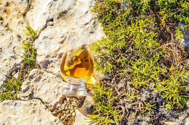 岩の上のガラスのシングルモルト スコッチ ・ ウイスキー、自然石の上を飲む - scotch on the rock ストックフォトと画像