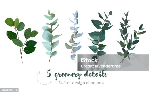 istock Mix of herbs and plants vector big collection 868016314