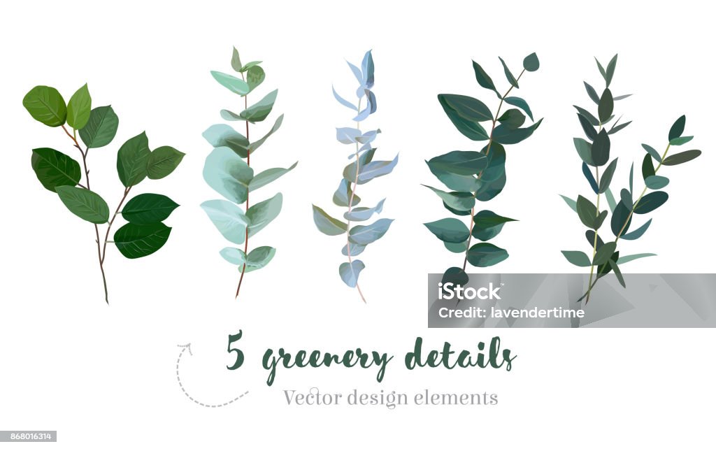 Mix of herbs and plants vector big collection Mix of herbs and plants vector big collection. Cute rustic wedding greenery.True blue eucalyptus, italian ruscus, parvifolia foliage, leaves and stems. Watercolor style set. All elements are isolated. Eucalyptus Tree stock vector