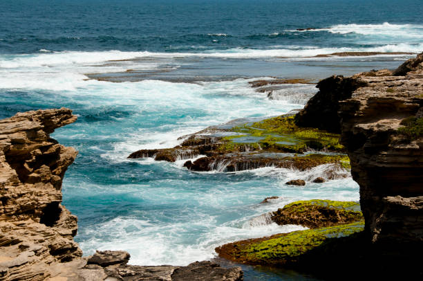istock Cape Vlamingh - Rottnest Island 868022294