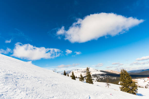 istock Winter wonderland 868022554