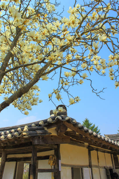 April Seoul Korea