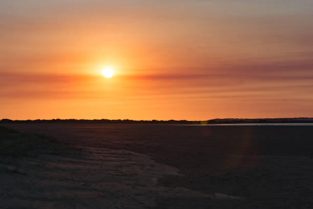 Bird Diversity from South Australia's RAMSAR Coorong