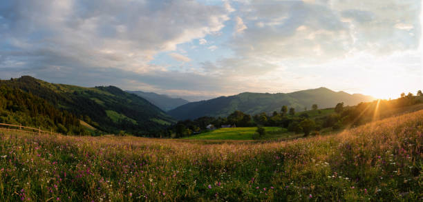 istock Sunset on the field in the Carpathians 868025998