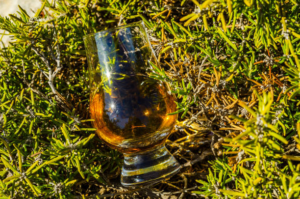 岩�の上の植物のガラスのシングルモルト スコッチ ・ ウイスキー、自然石の上を飲む - scotch on the rock ストックフォトと画像