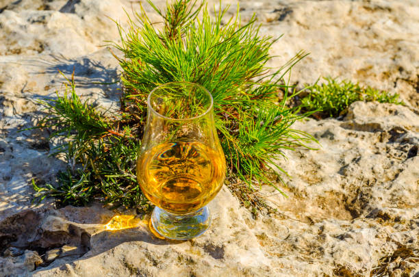 único whisky de malte em vidro das plantas na pedra, bebo em uma pedra natural - scotch on the rock - fotografias e filmes do acervo