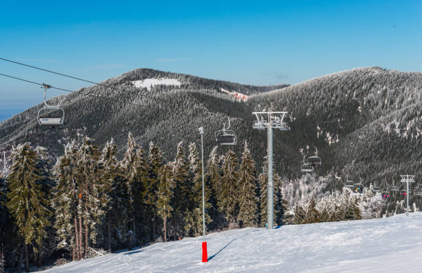 istock Winter wonderland 868030158