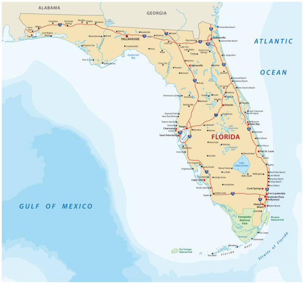 ilustrações, clipart, desenhos animados e ícones de mapa de estrada florida com parques nacionais - sarasota miami florida fort lauderdale sea