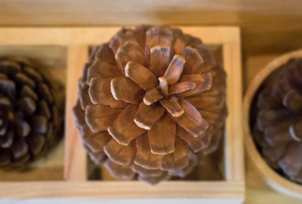 istock Brown pine cones on wooden table 868036452