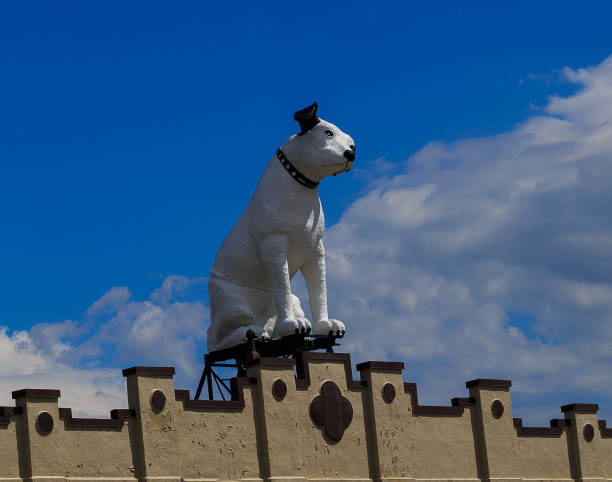 "geada" o cão e sua vitrola no topo o rca antigo edifício alb - victrola - fotografias e filmes do acervo