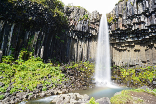 istock Svartifoss waterfall surrounded by dark lava columns,Iceland 868038028