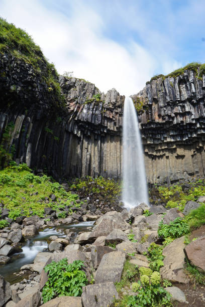 istock Svartifoss waterfall surrounded by dark lava columns,Iceland 868038046