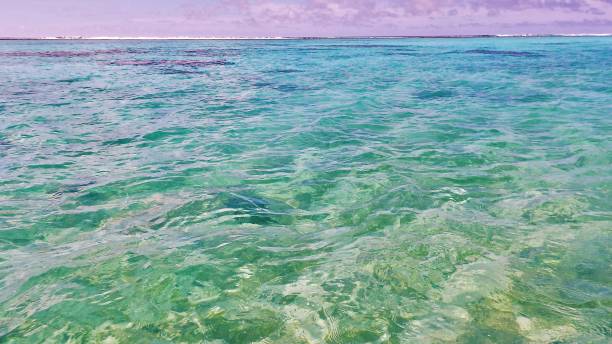 istock Rarotonga aquamarine seascape 868038412