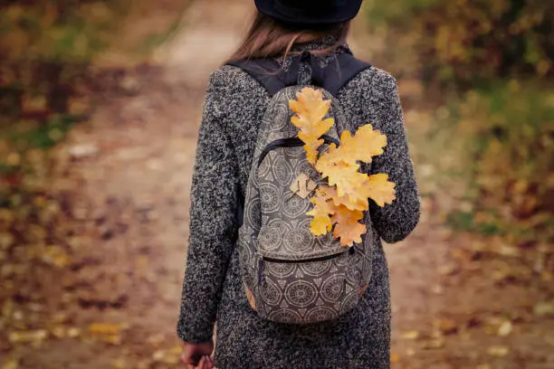 Photo of Yellow leaves in a backpack, a girl stands in an autumn forest. Back view