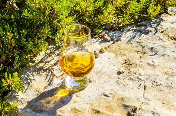 岩の上のガラスのシングルモルト スコッチ ・ ウイスキー、自然石の上を飲む - scotch on the rock ストックフォトと画像