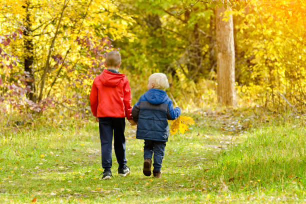 istock Two boys walking in the autumn forest. Sunny day. Back view 868041348