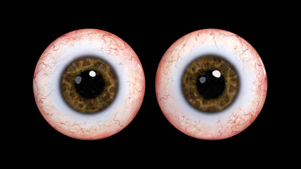 istock two realistic human eye balls with brown iris, isolated on black background (3d illustration) 868043900