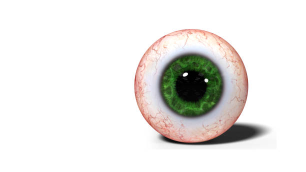 istock realistic human eye with green iris isolated on white background (3d illustration) 868044198