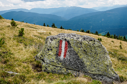 Trail marking on a mountain rock lying in an alpine meadow with mountains in the background. Photograph taken near Krakaudorf, Styria, Austria.