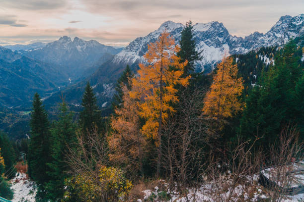istock Scenic view of snowcapped Alps in Austria 868045410