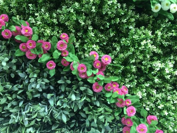 istock Wreath of flowers 868052234