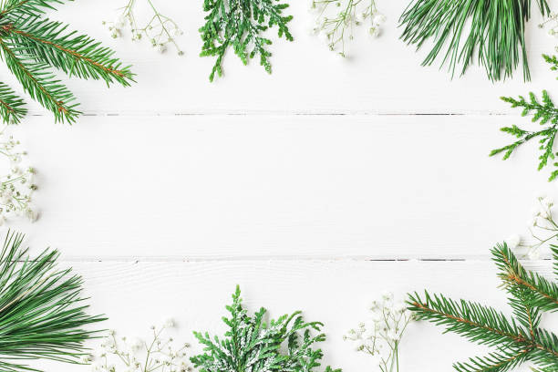 istock Christmas frame made of winter plants. Flat lay, top view 868054792