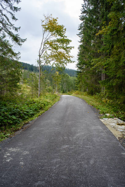 istock empty asphalt road in the countryside in autumn 868057852