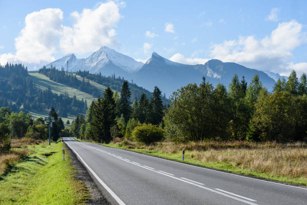 istock empty asphalt road in the countryside in autumn 868061020