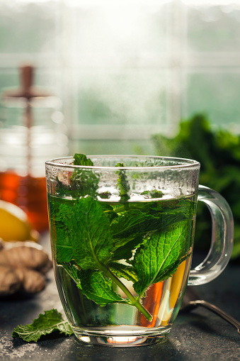 Fresh mint tea near the window. Cozy home or health concept