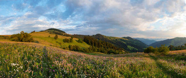 istock Sunset on the field in the Carpathians 868061368