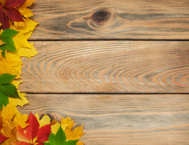 istock Autumn leaves on wooden table 868064316