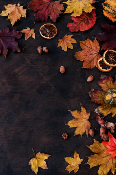 istock Autumn Background With Candied Oranges, Nuts and Spices 868068722