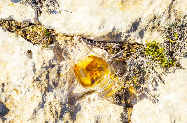 único whisky de malte em vidro na pedra, bebo em uma pedra natural - scotch on the rock - fotografias e filmes do acervo