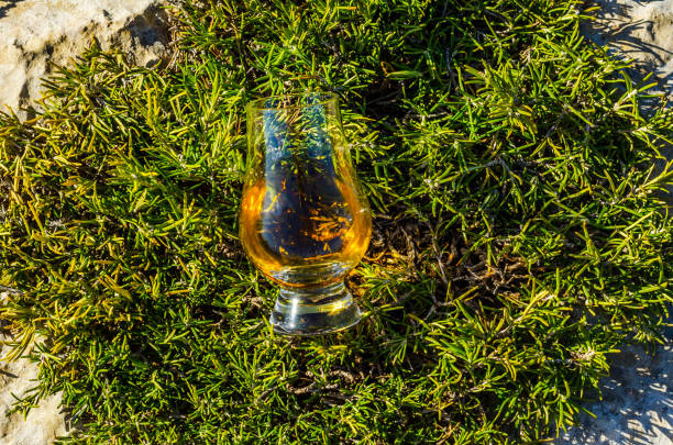 único whisky de malte em vidro das plantas na pedra, bebo em uma pedra natural - scotch on the rock - fotografias e filmes do acervo