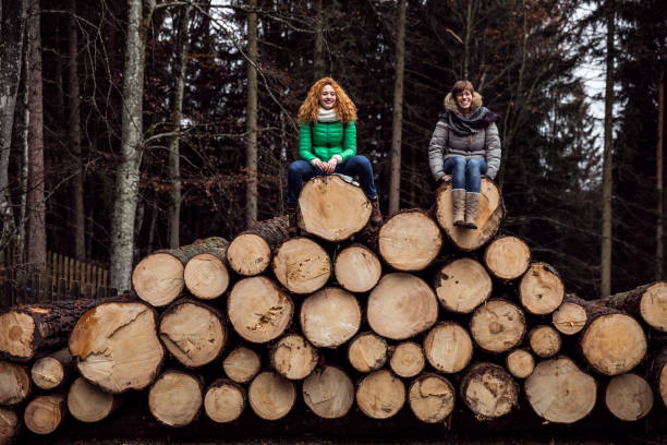 Chilling out in mountain sitting on tree trunks