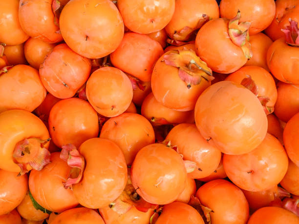 istock persimmon harvest in Croatia 868079900