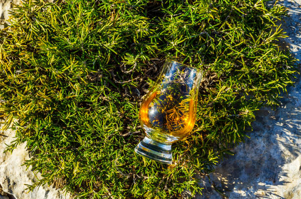 único whisky de malte em vidro das plantas na pedra, bebo em uma pedra natural - scotch on the rock - fotografias e filmes do acervo