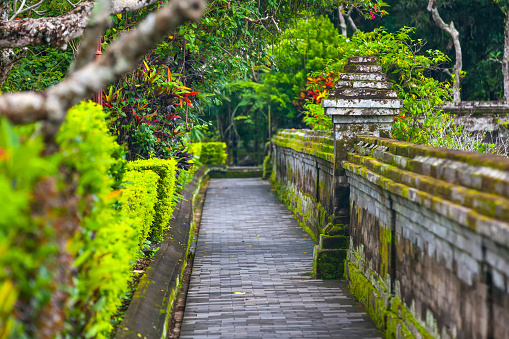 The path around the temple complex is surrounded by green tropical trees and cut bushes along the stone wall with moss.