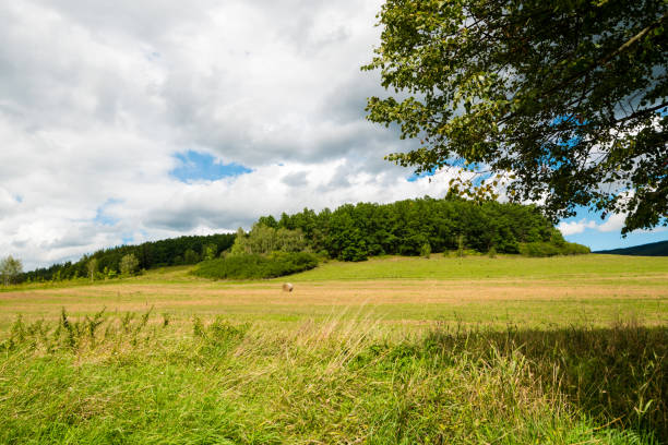Beautiful land in summer sunny day. Green meadow, blue sky with clouds.